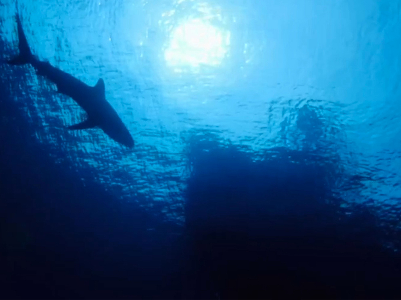 Prime Video Deadliest Catch Bloodline Season 2