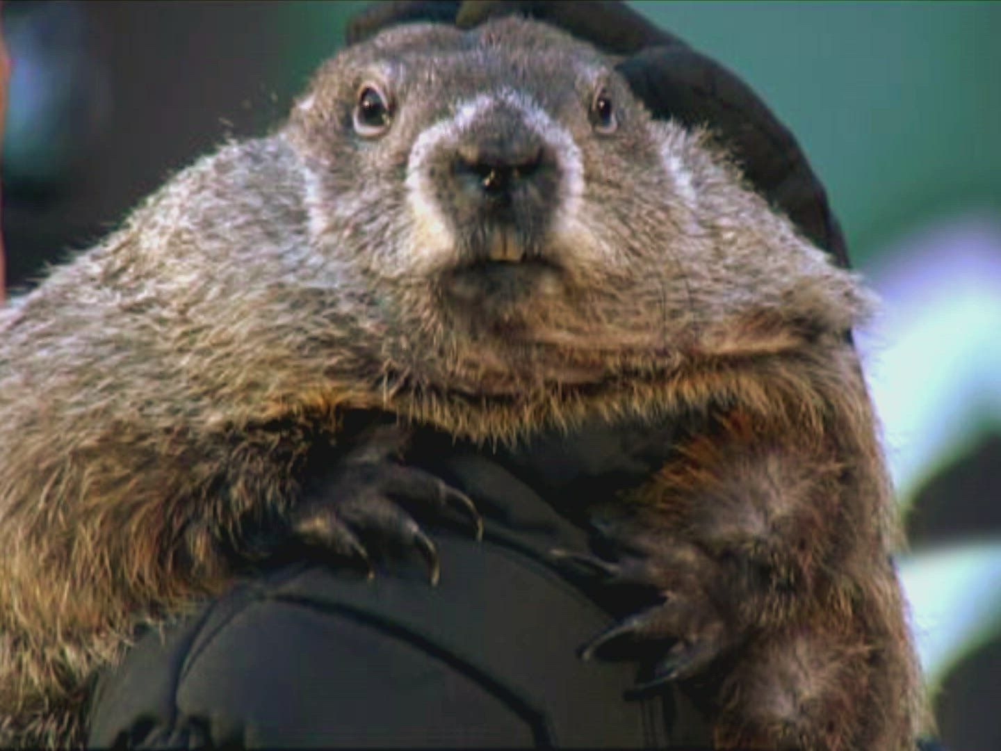 Prime Video A Groundhog Day Story Season 1