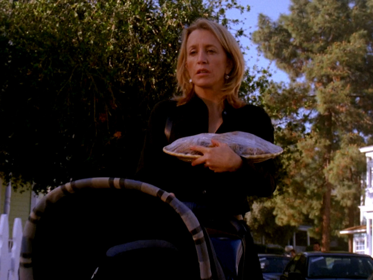 Prime Video Desperate Housewives Staffel 1