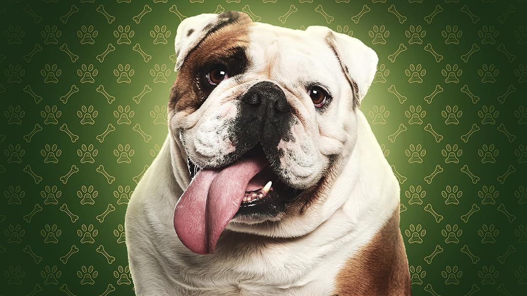 Watch The Dog House UK Season 1 Prime Video