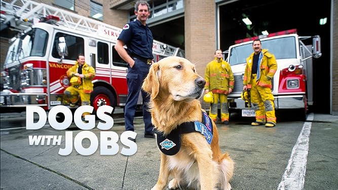 Prime Video Dogs With Jobs