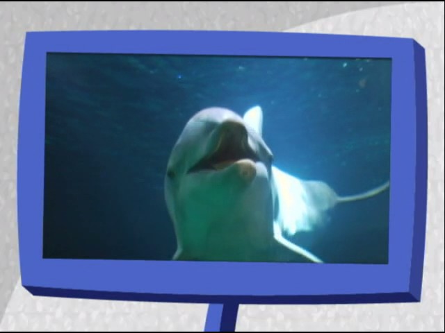 Prime Video: Fetch! With Ruff Ruffman Season 2