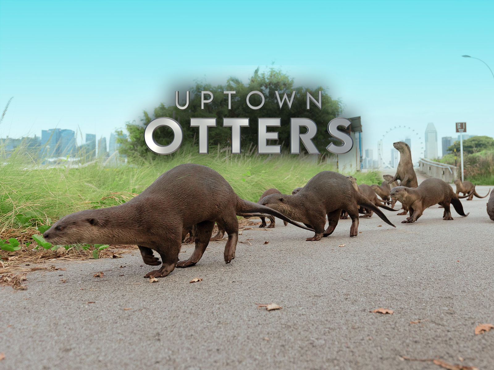 Prime Video: Uptown Otters