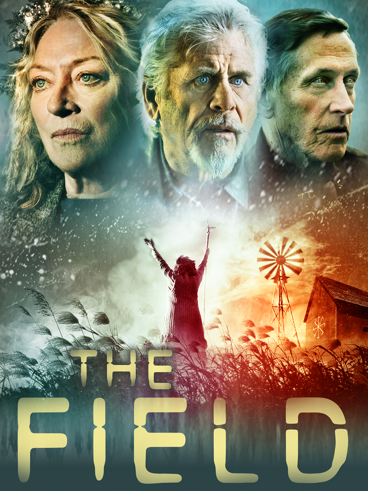 Prime Video The Field