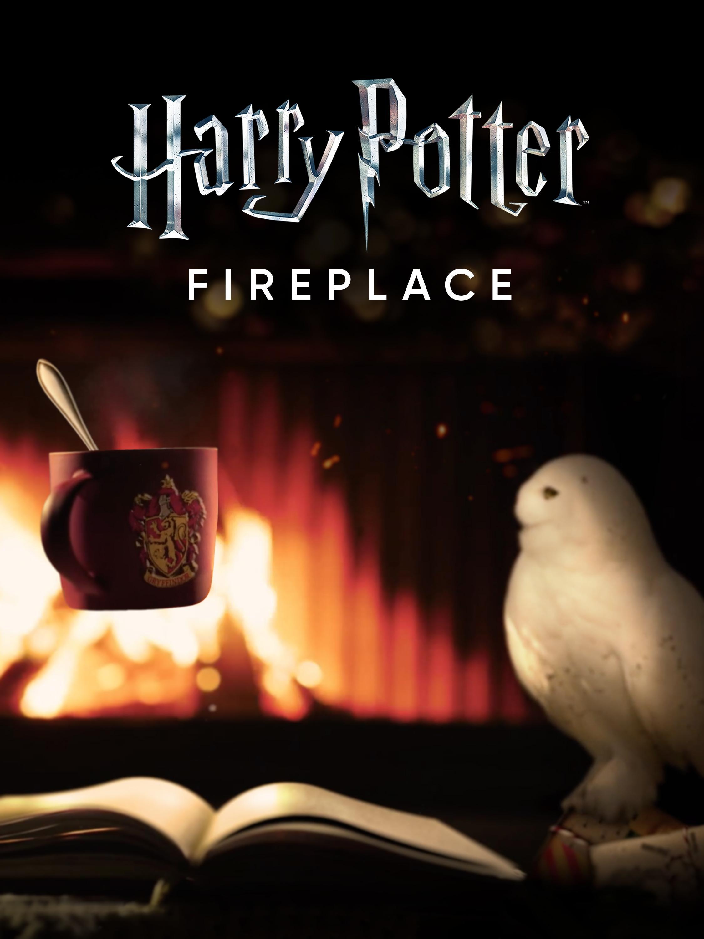 Prime Video Harry Potter Fireplace