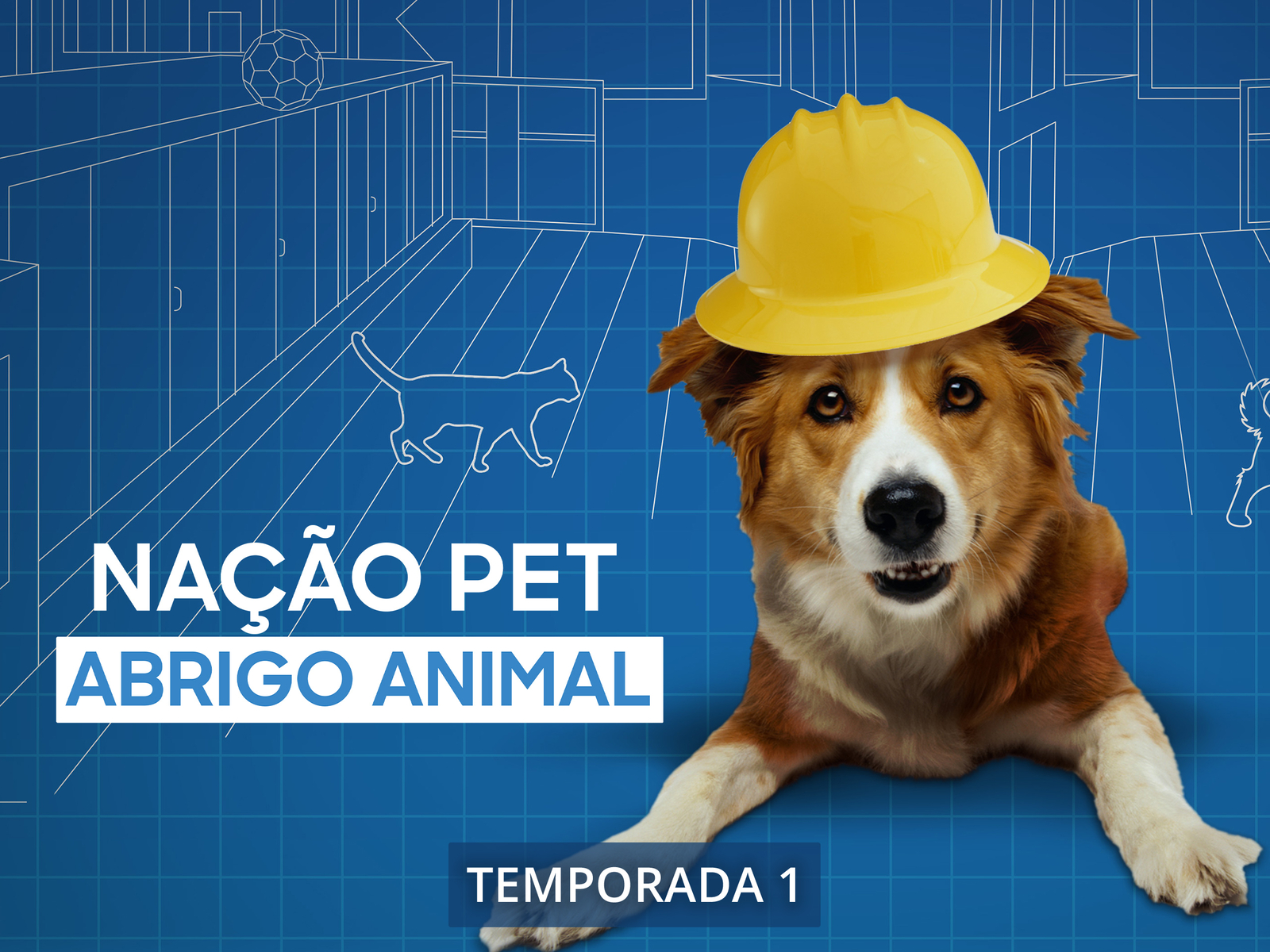 Prime Video Pet Nation Renovation Season 1