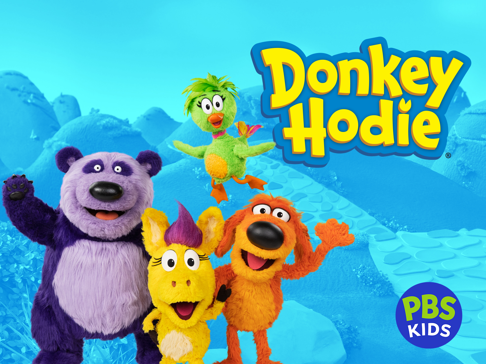 Prime Video Donkey Hodie, Volume 8