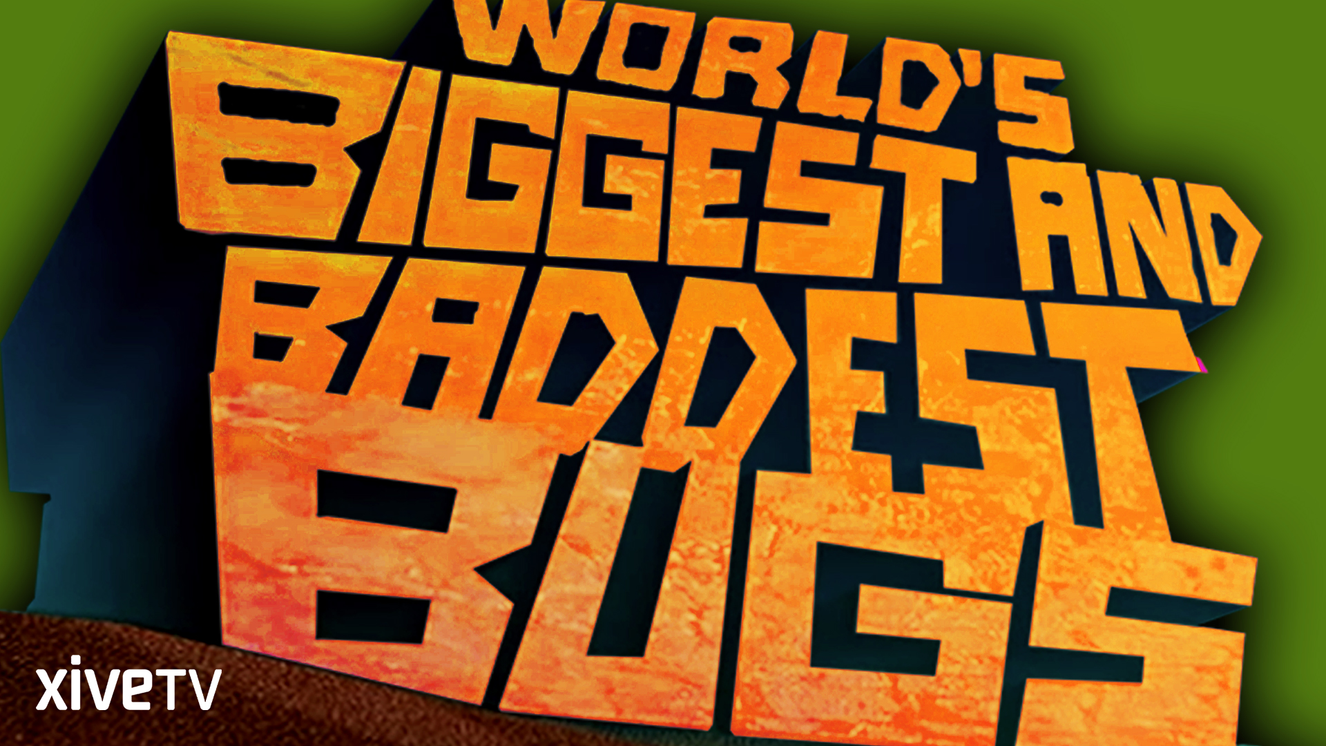 Prime Video World s Biggest And Baddest Bugs