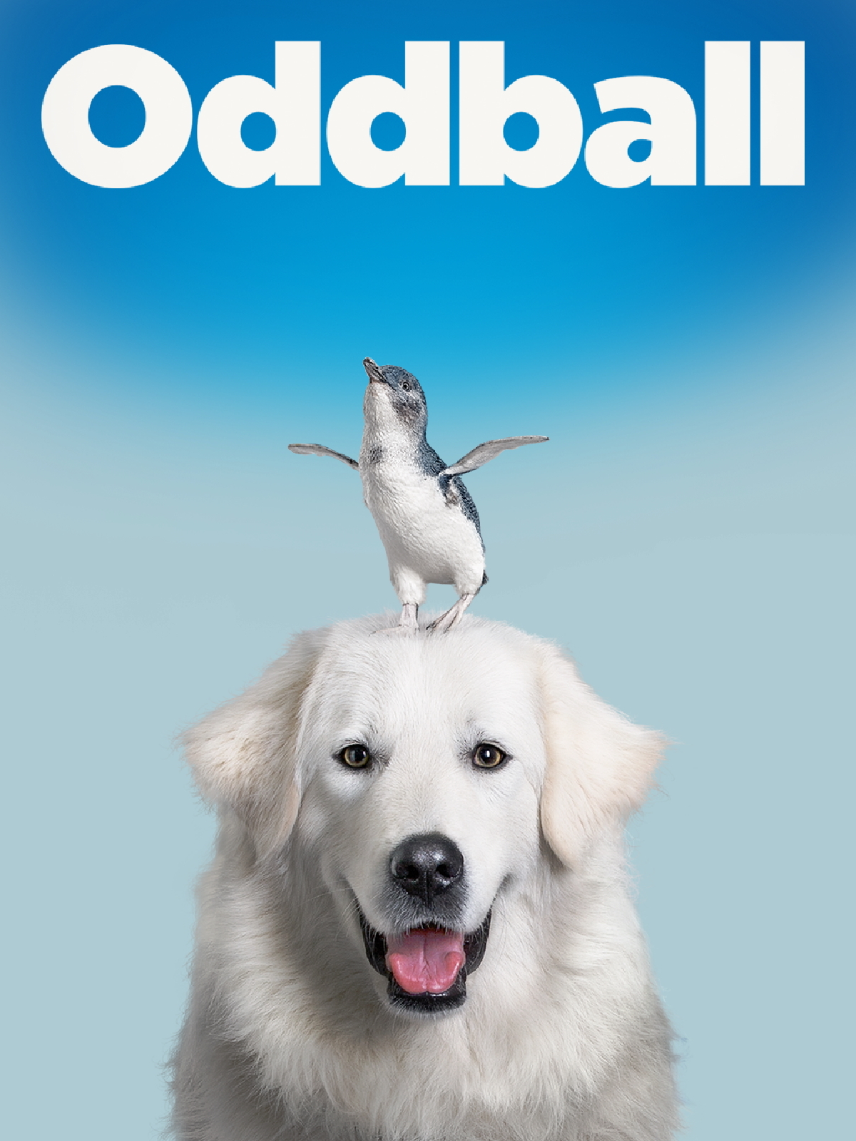 Prime Video Oddball