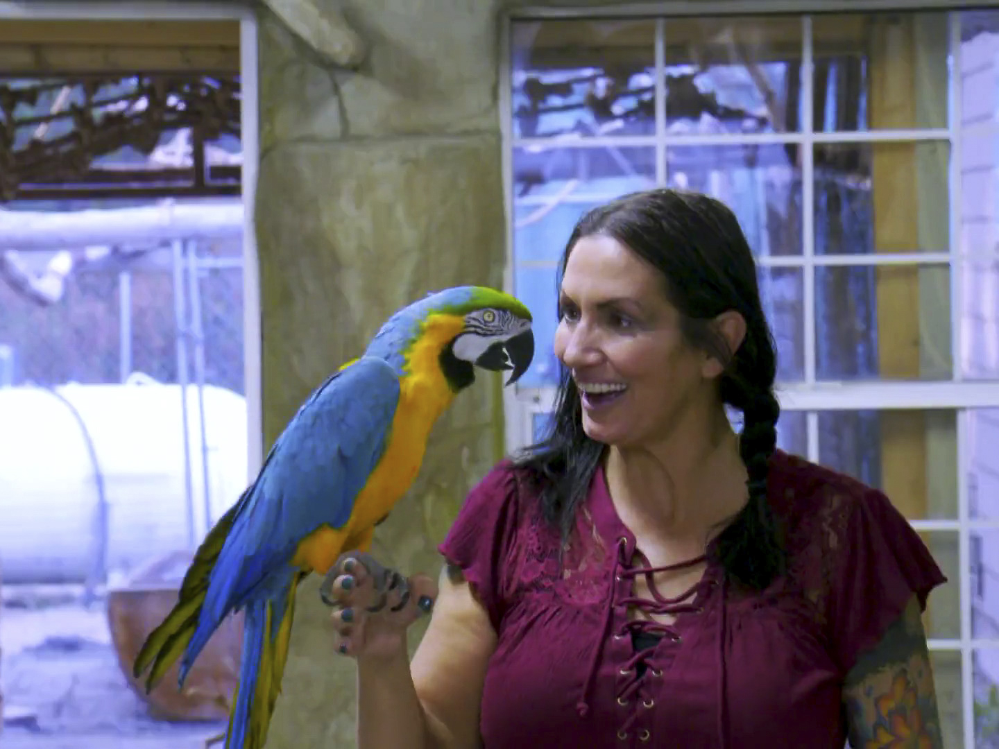 Prime Video Animal Cribs Season 1