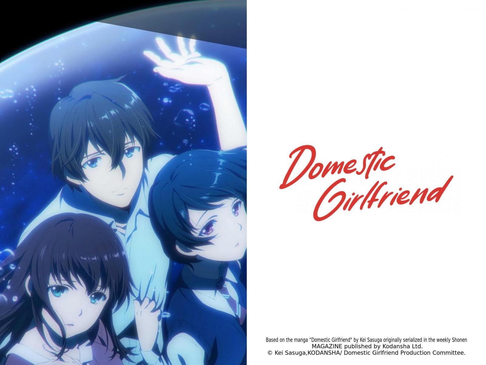 Domestic Girlfriend Love X Dilemma Prime Video: Domestic Girlfriend - Love x Dilemma - Season 1