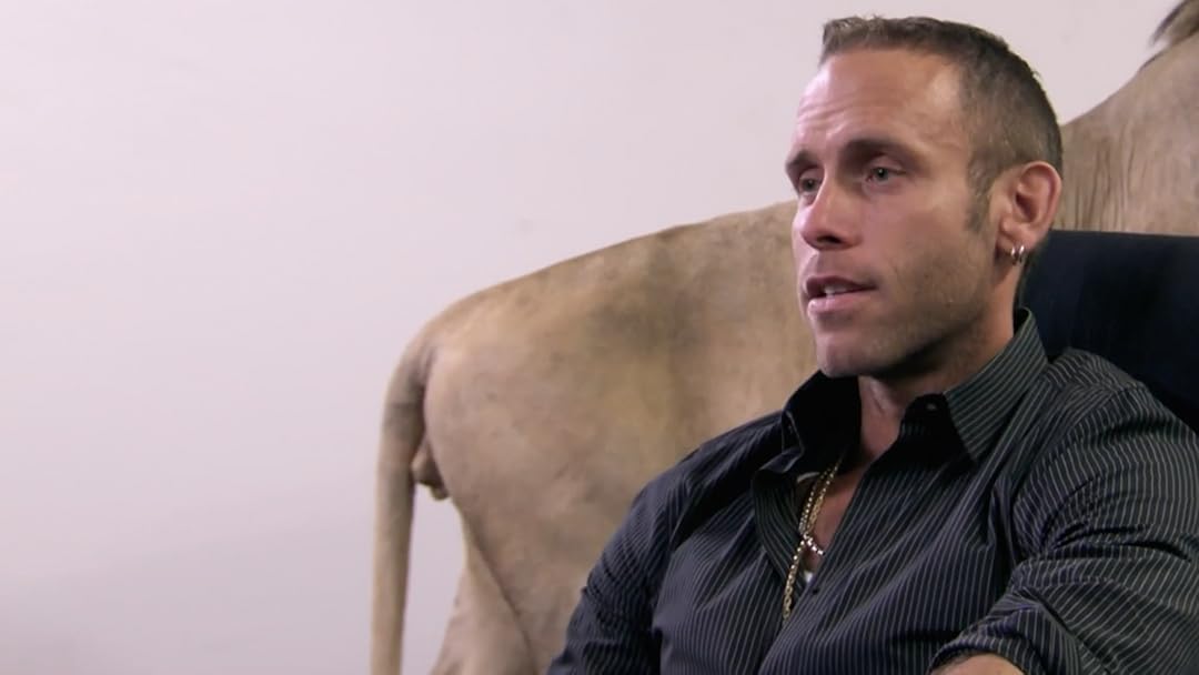 Prime Video Il Banco dei Pugni