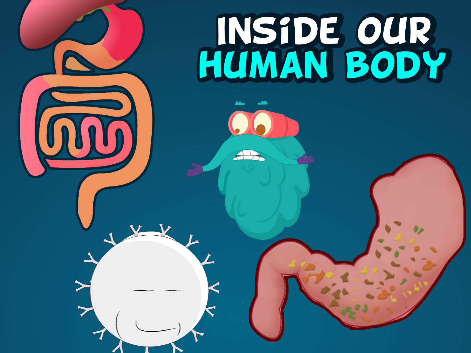 Prime Video Learn With Dr. Binocs