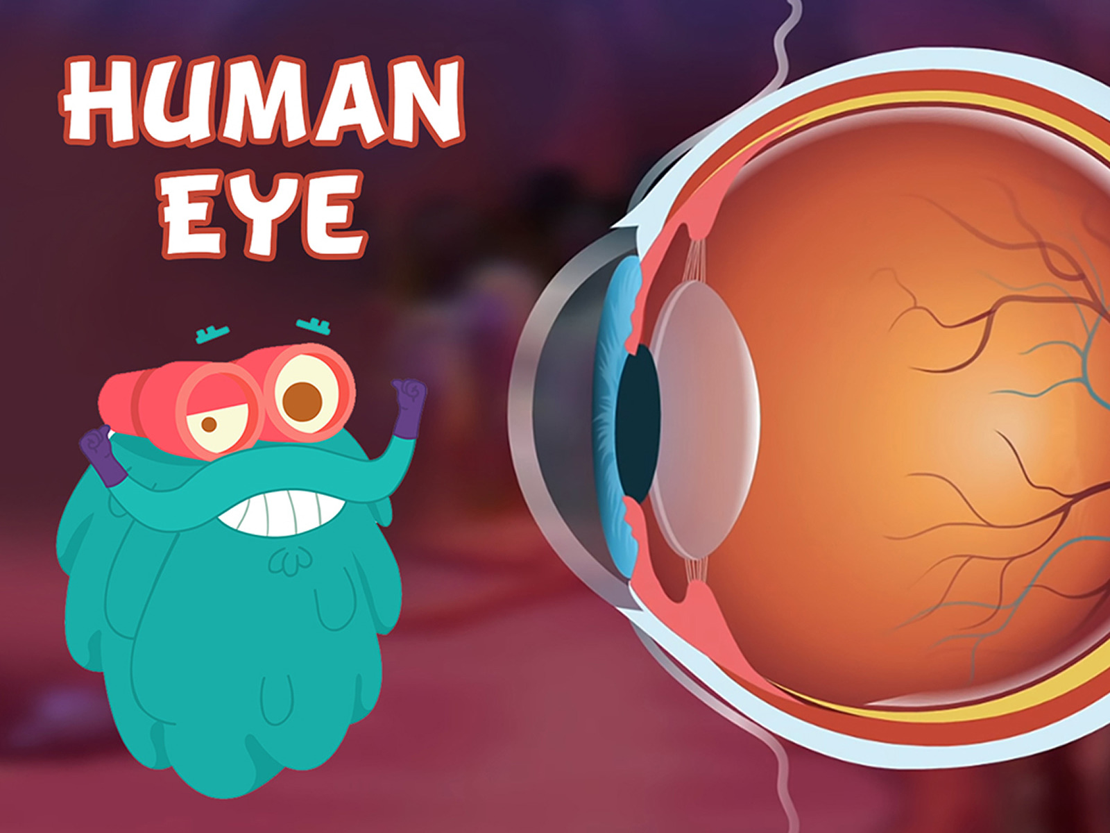 Prime Video The Dr. Binocs Show