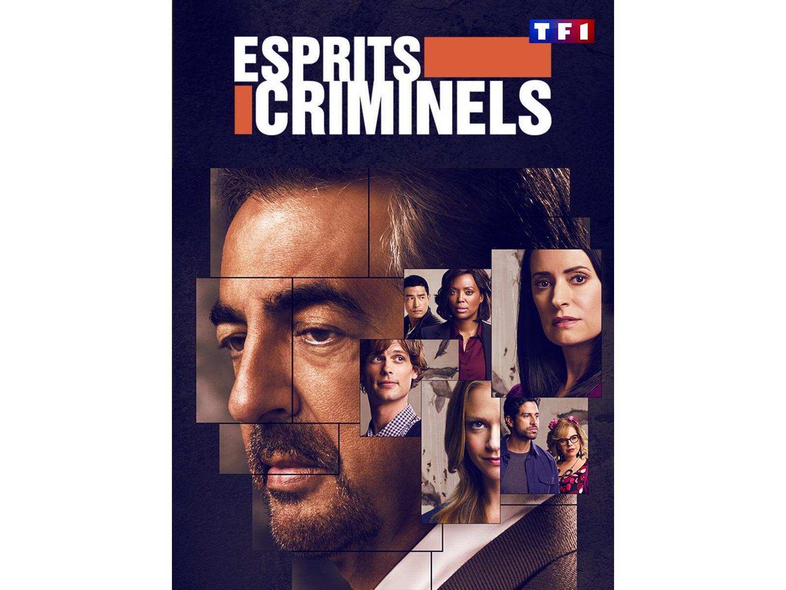 Prime Video: Esprits criminels - Saison 6