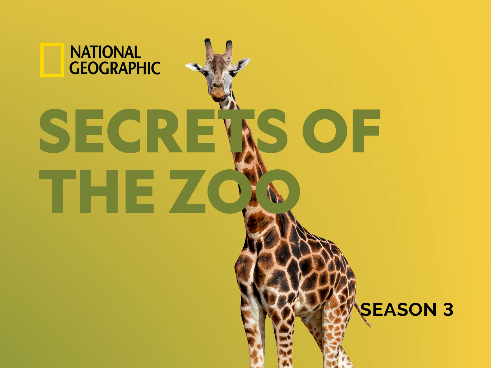 Prime Video: Secrets of the Zoo - Season 3