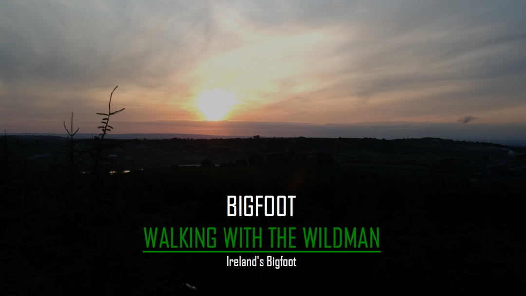 Prime Video Bigfoot Walking With The Wildman. Ireland's Bigfoot