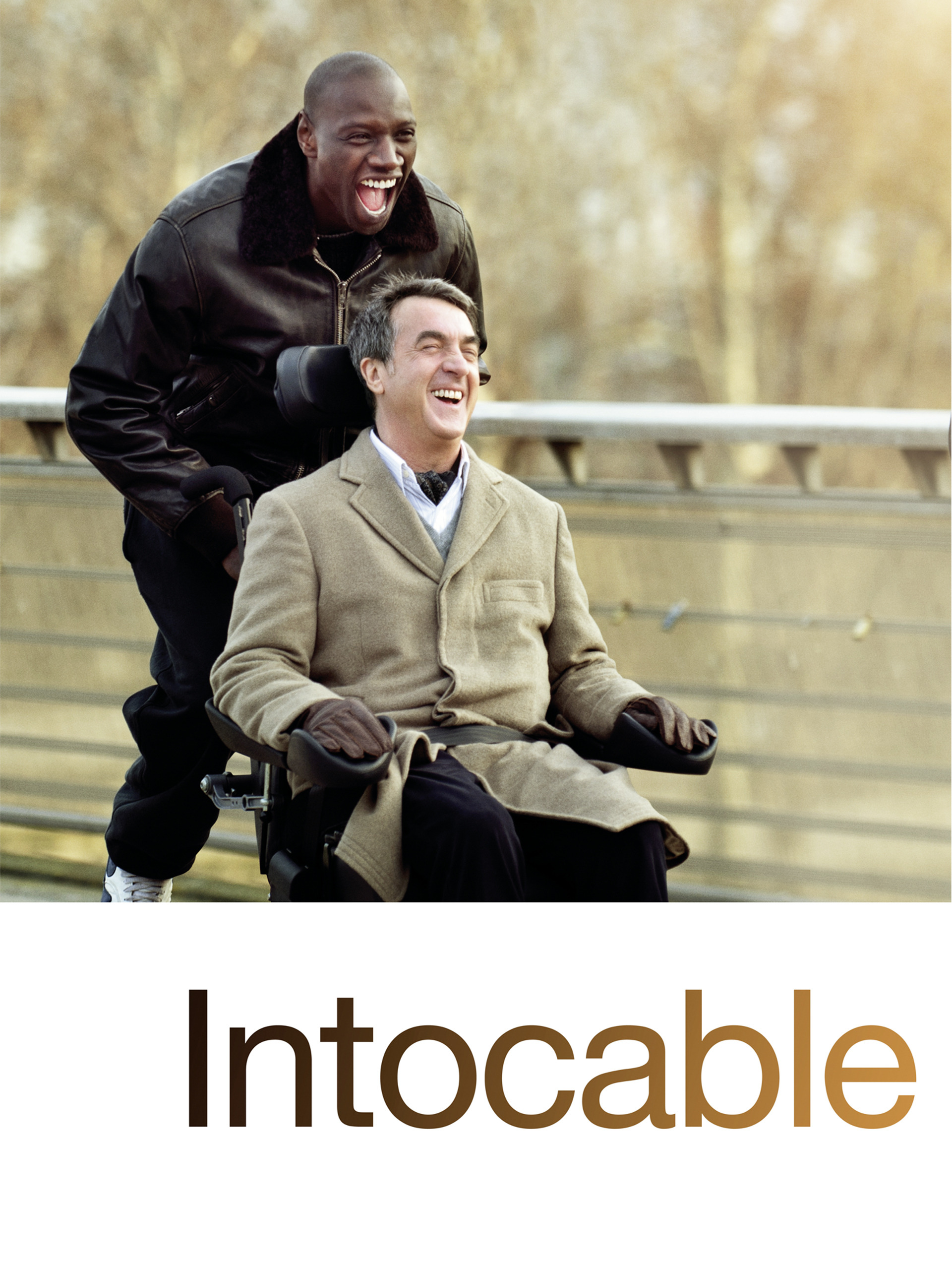 Amigos Intocables Pelicula Completa En Espanol Latino Prime Video: Intocable