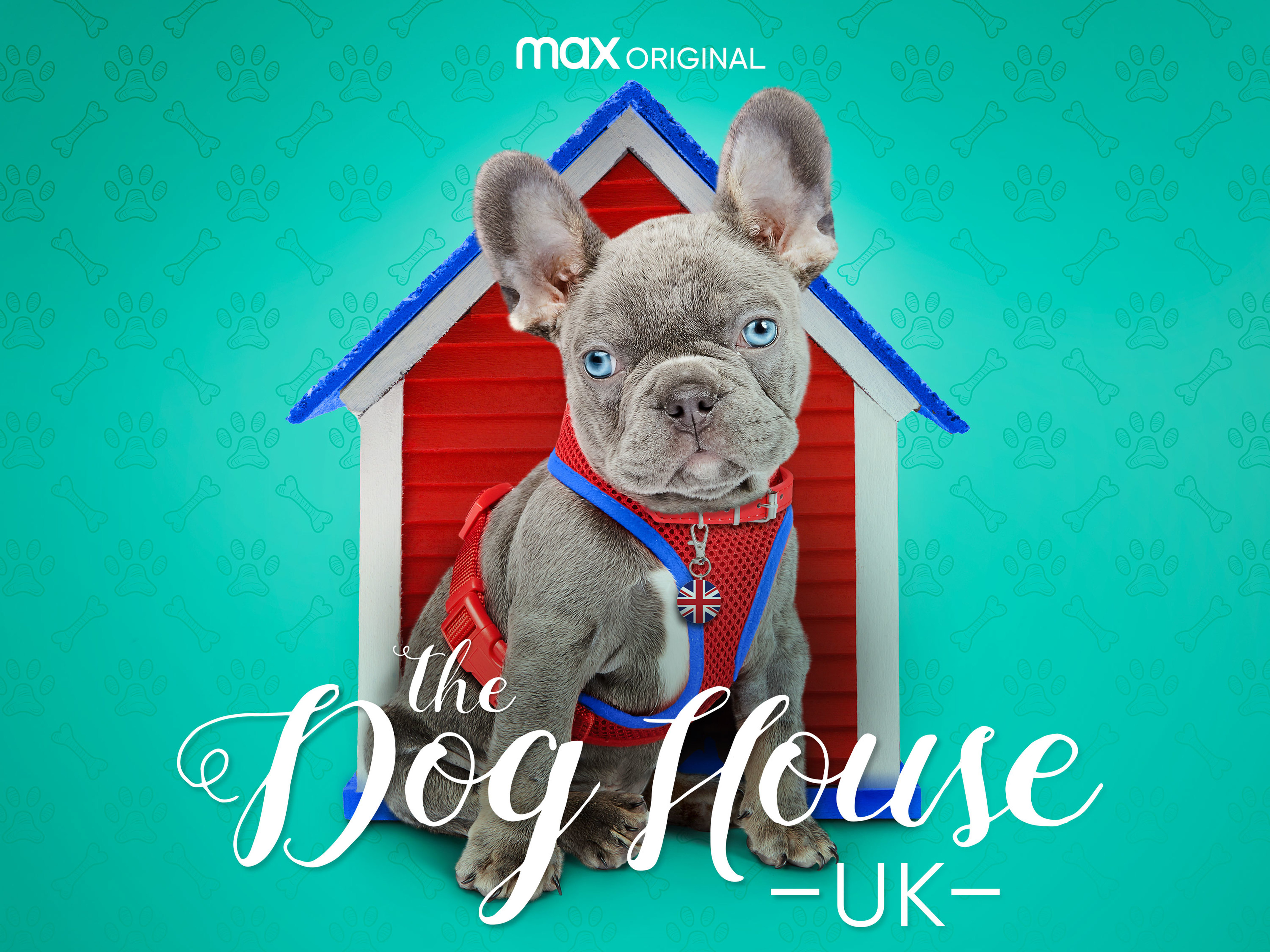 Prime Video The Dog House UK Season 2