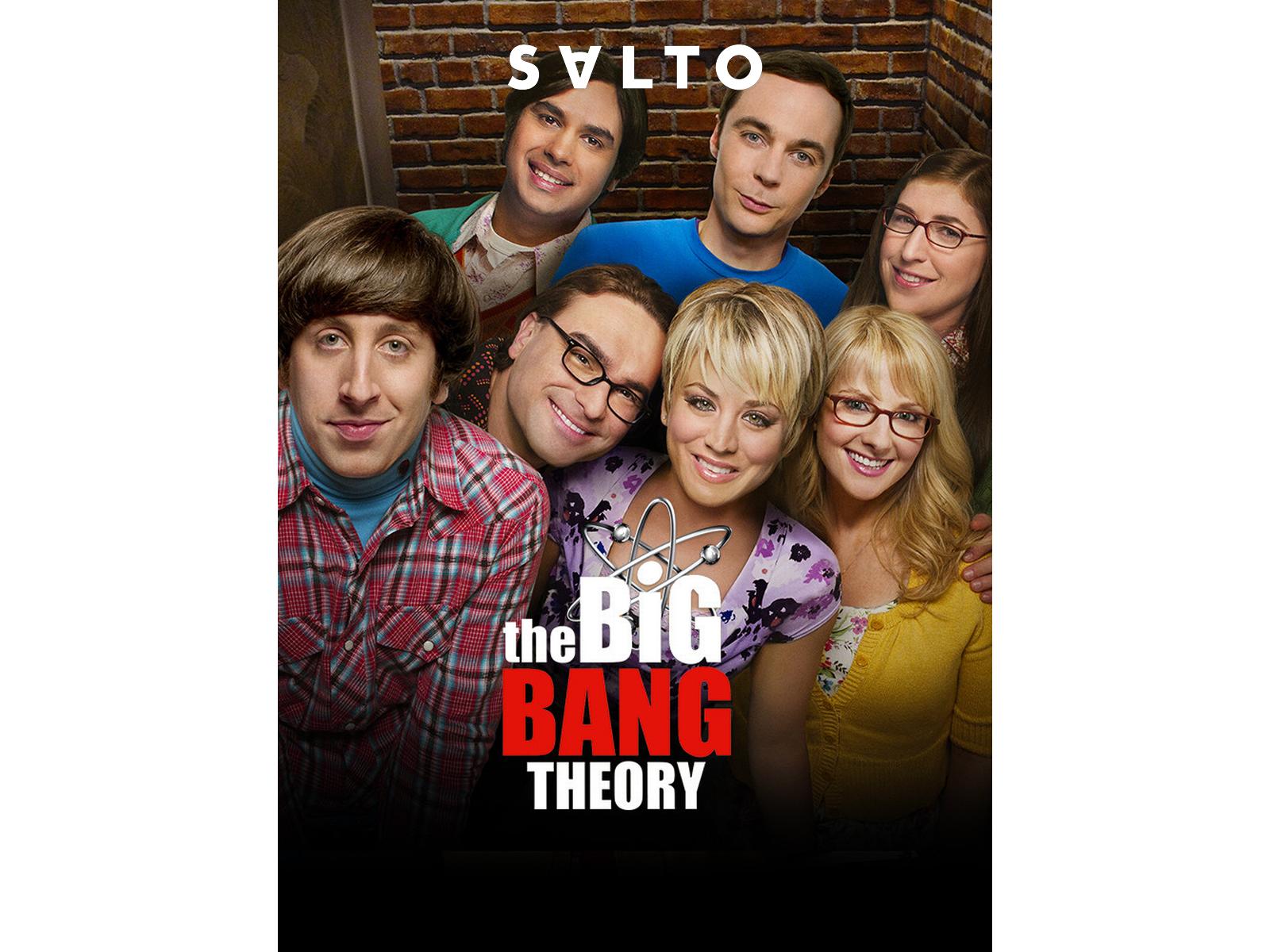 Prime Video: The Big Bang Theory - Saison 9
