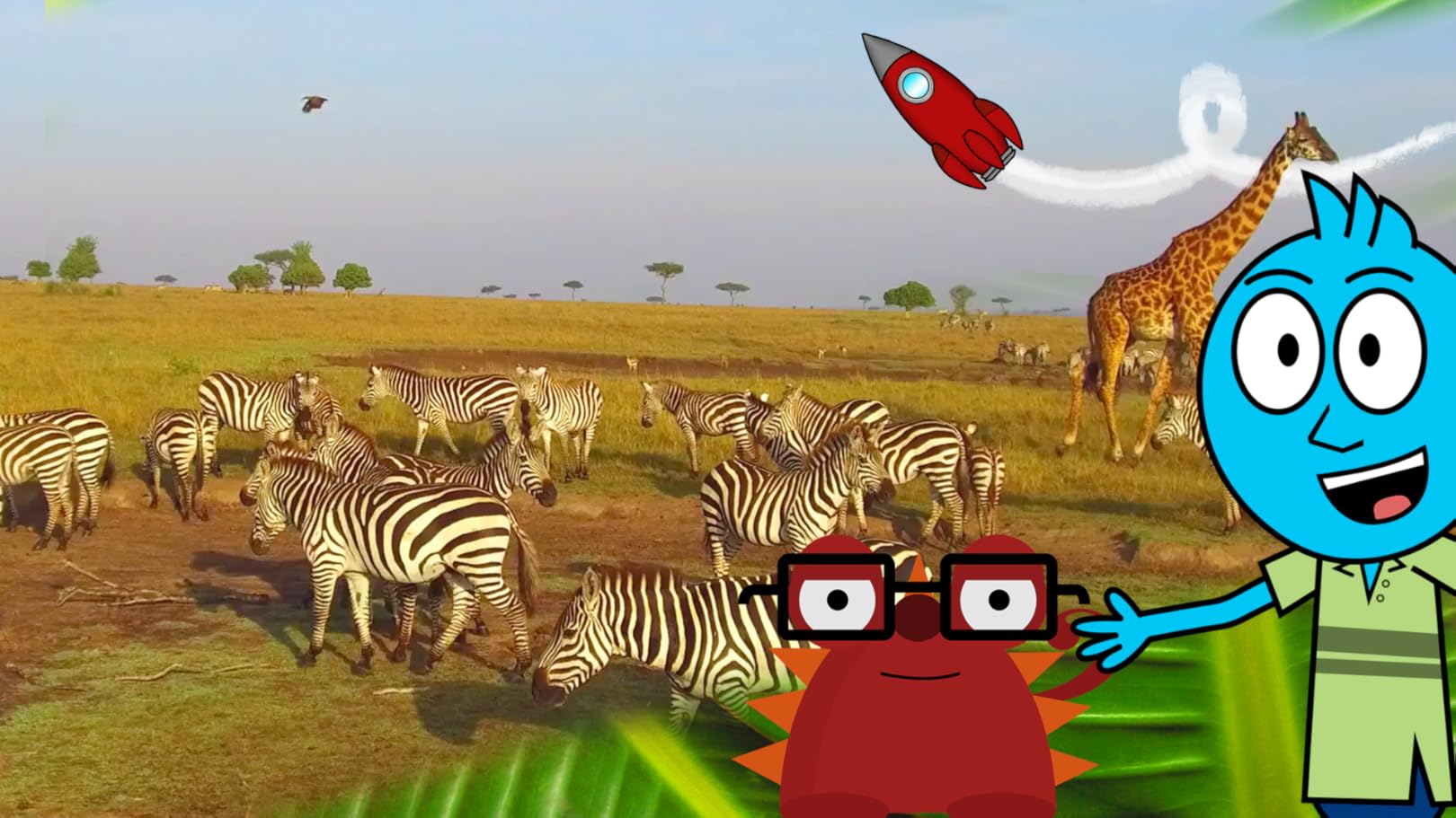 Watch Nick Nature Animal Show for Kids Prime Video