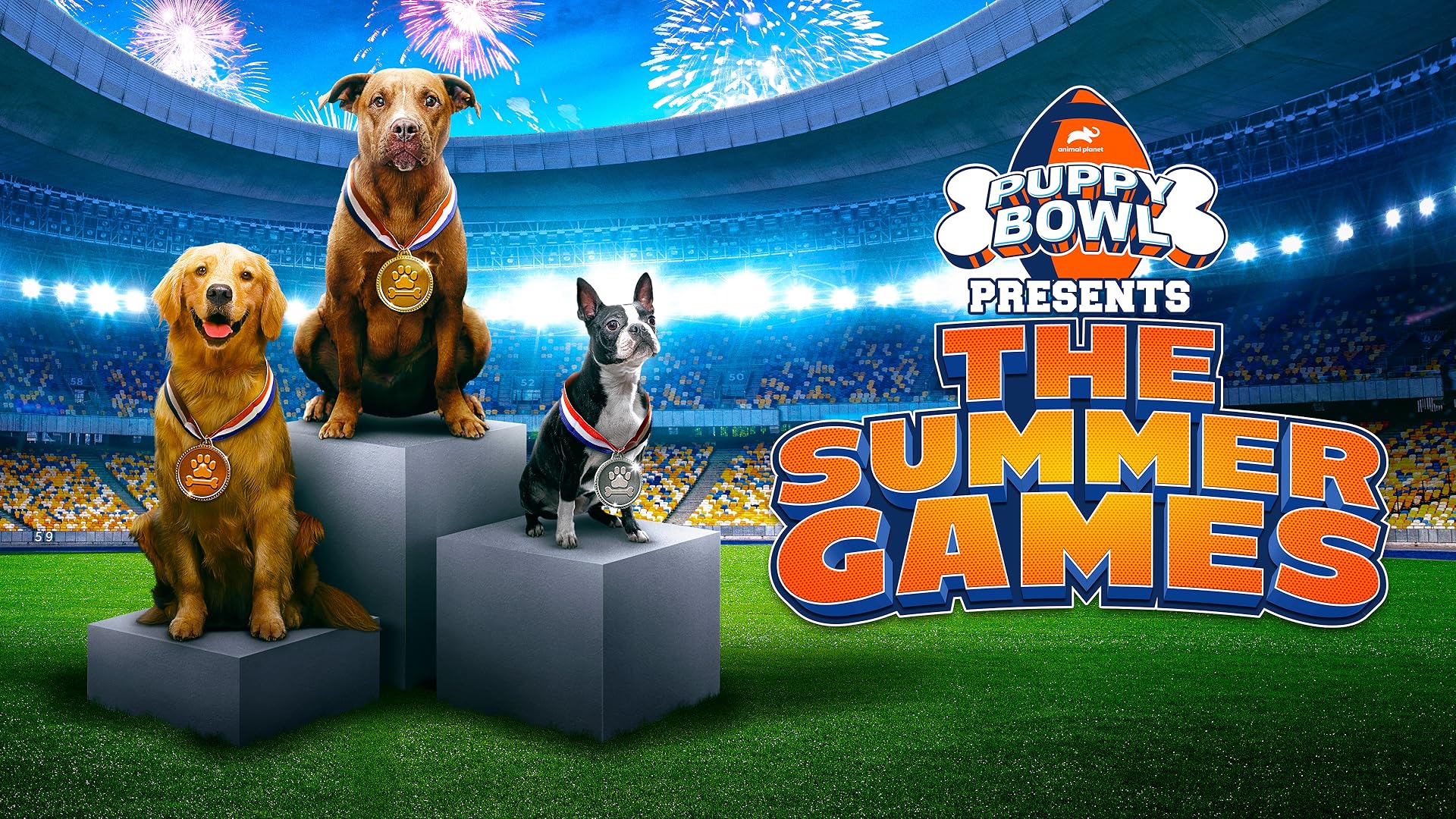 Watch Puppy Bowl Season 1 Prime Video(02)