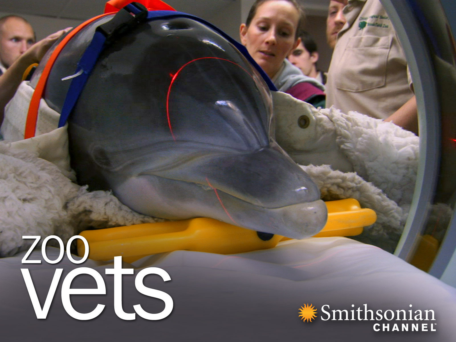 Prime Video Zoo Vets Season 1