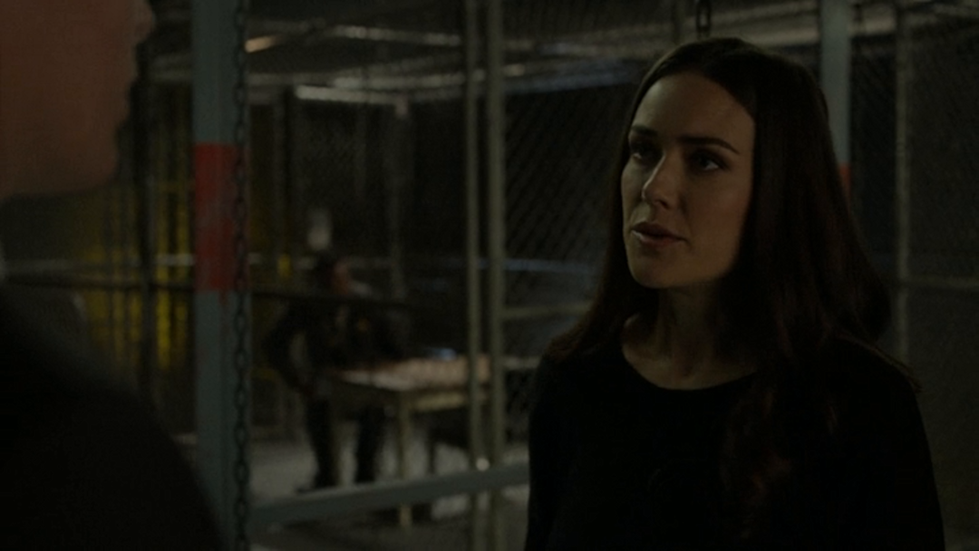 Prime Video Blacklist, The Season 08