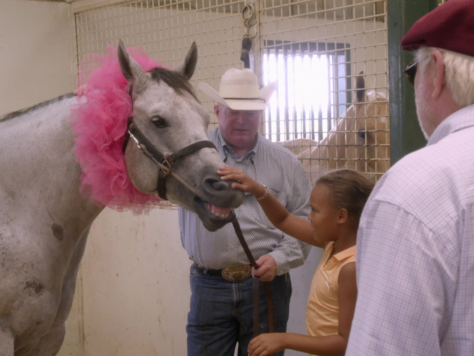 Prime Video The Bradshaw Bunch Season 1