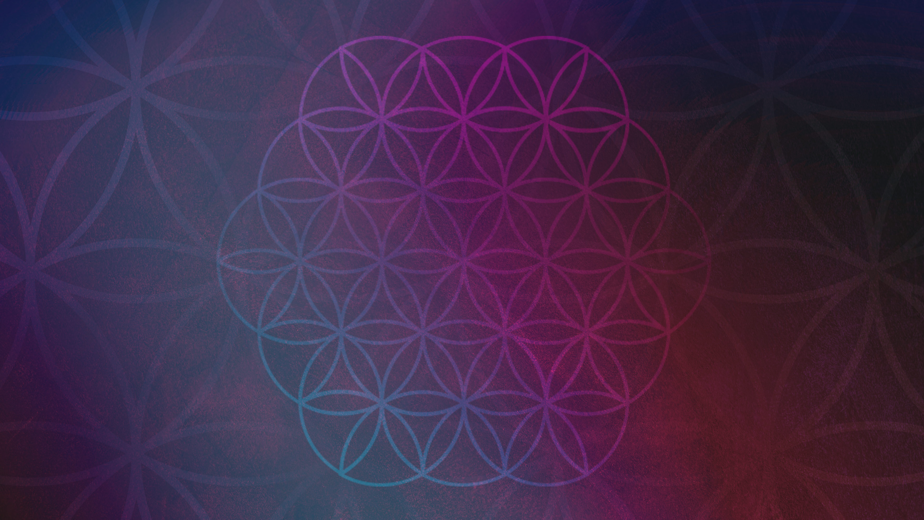 Watch Flower of Life Season 1 Prime Video