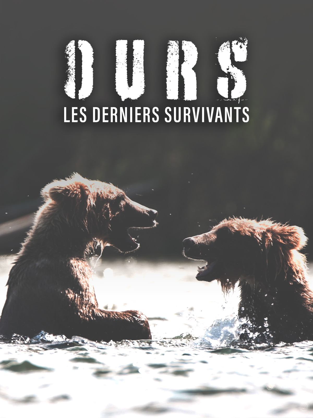 Prime Video Ours, les derniers survivants