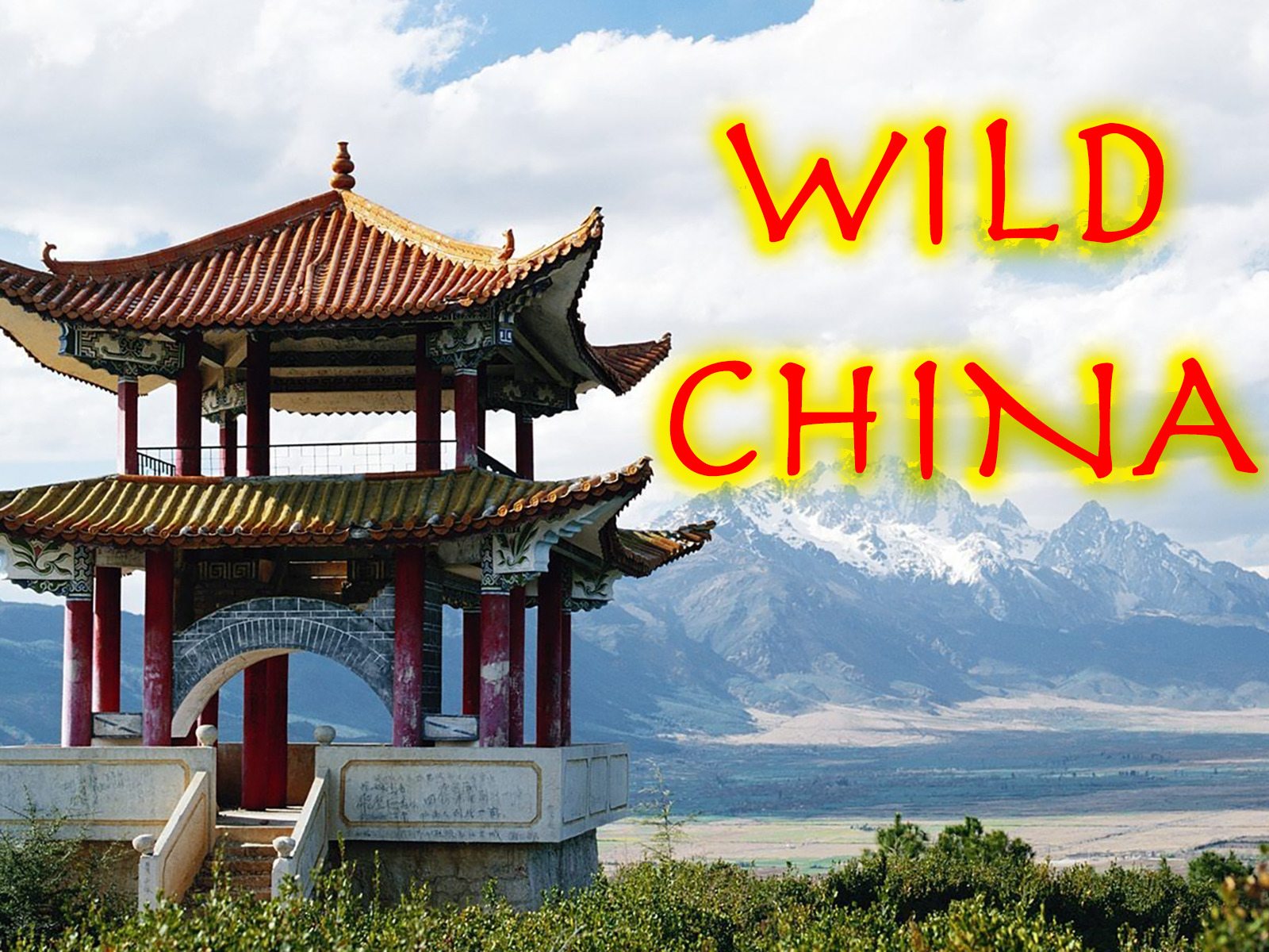 Prime Video Wild China