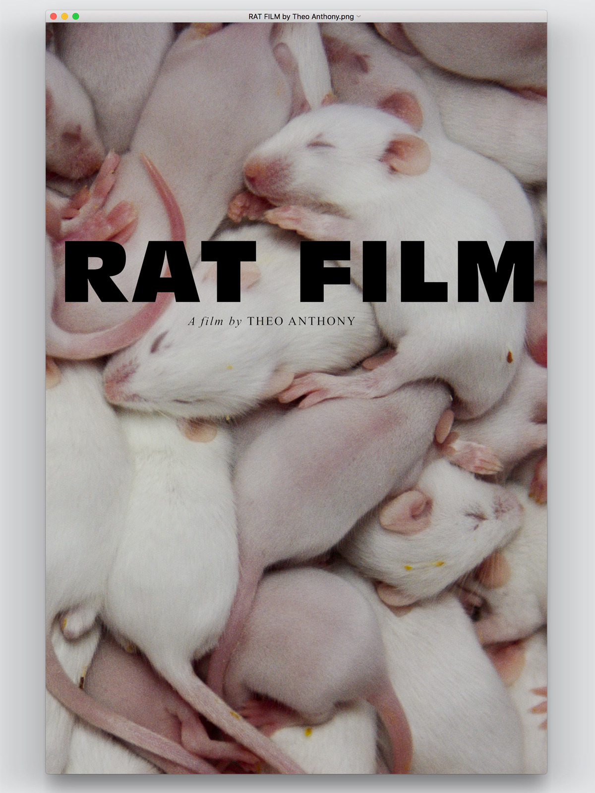Prime Video: Rat Film