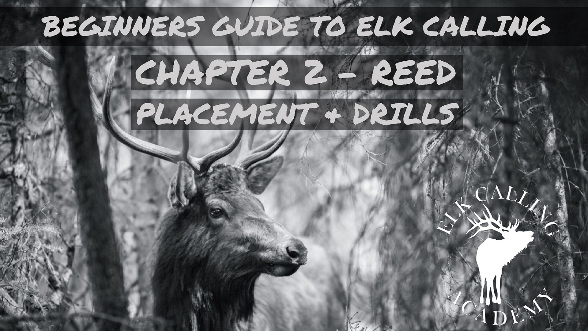 Watch Beginners Guide to Elk Calling Prime Video