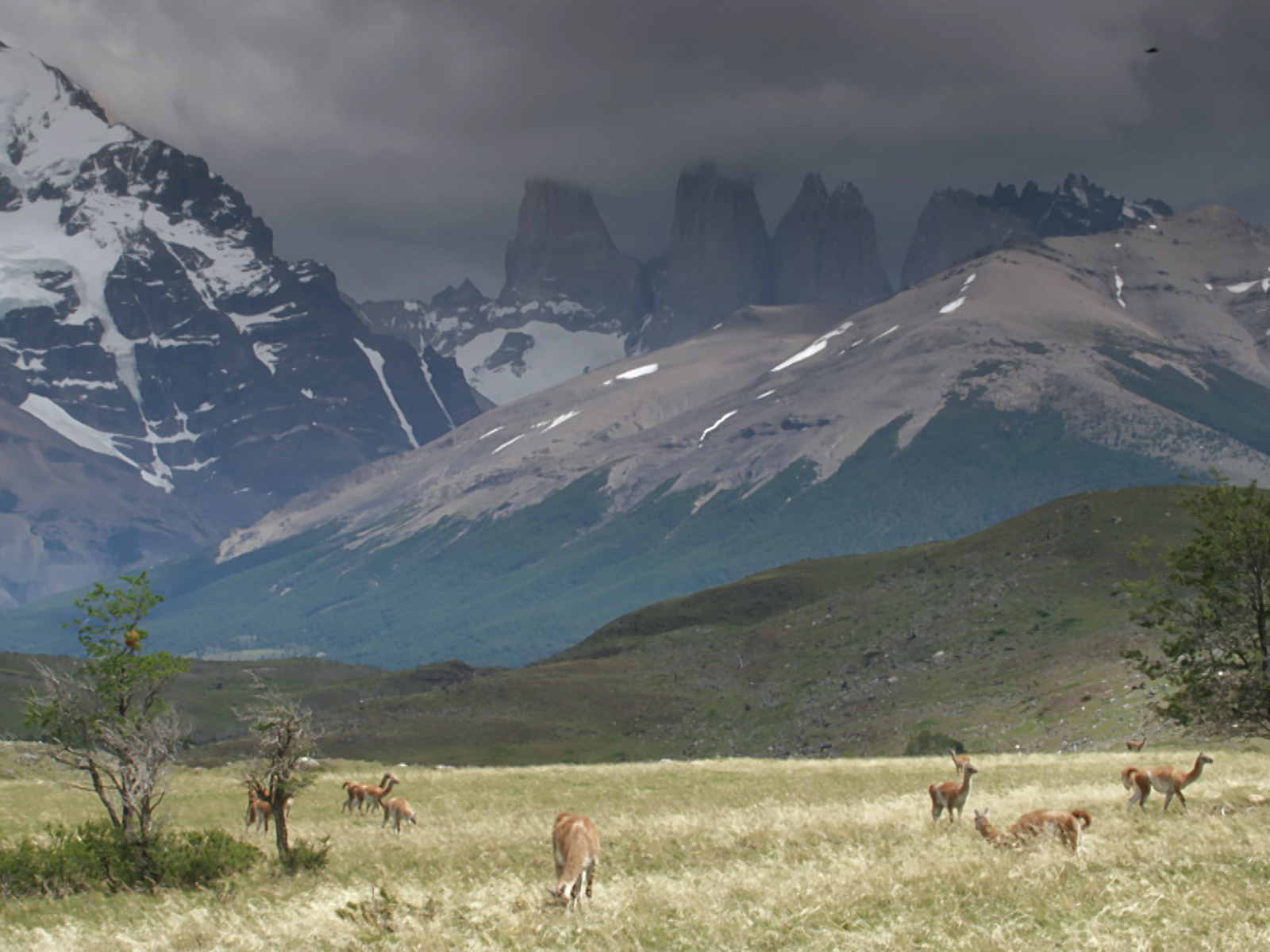 Prime Video Wild Patagonia Season 1