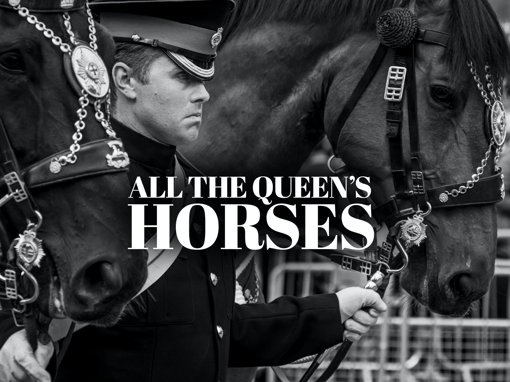Prime Video All The Queen's Horses