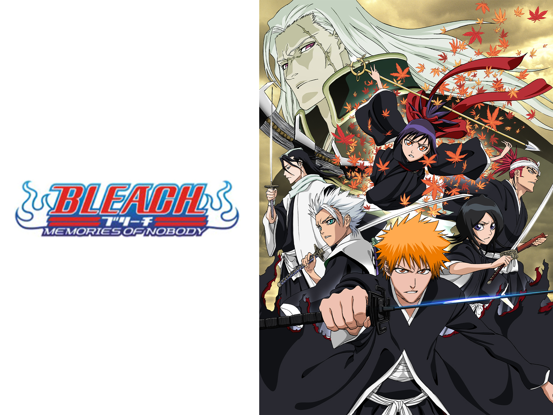 Shiro Sagisu BLEACH THE MOVIE MEMORIES OF NOBODY ORIGINAL, 55 OFF