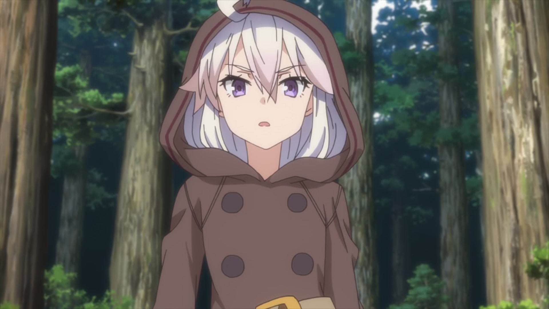 Watch Grimoire Of Zero Season 1 Prime Video