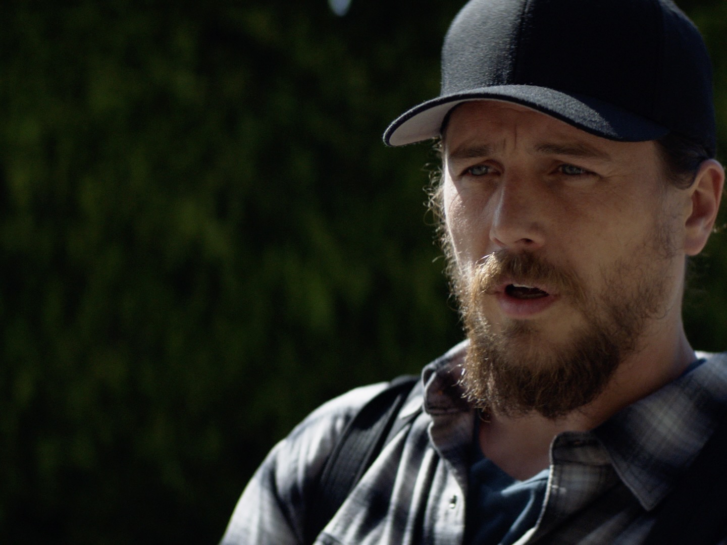 Prime Video Animal Kingdom Season 6