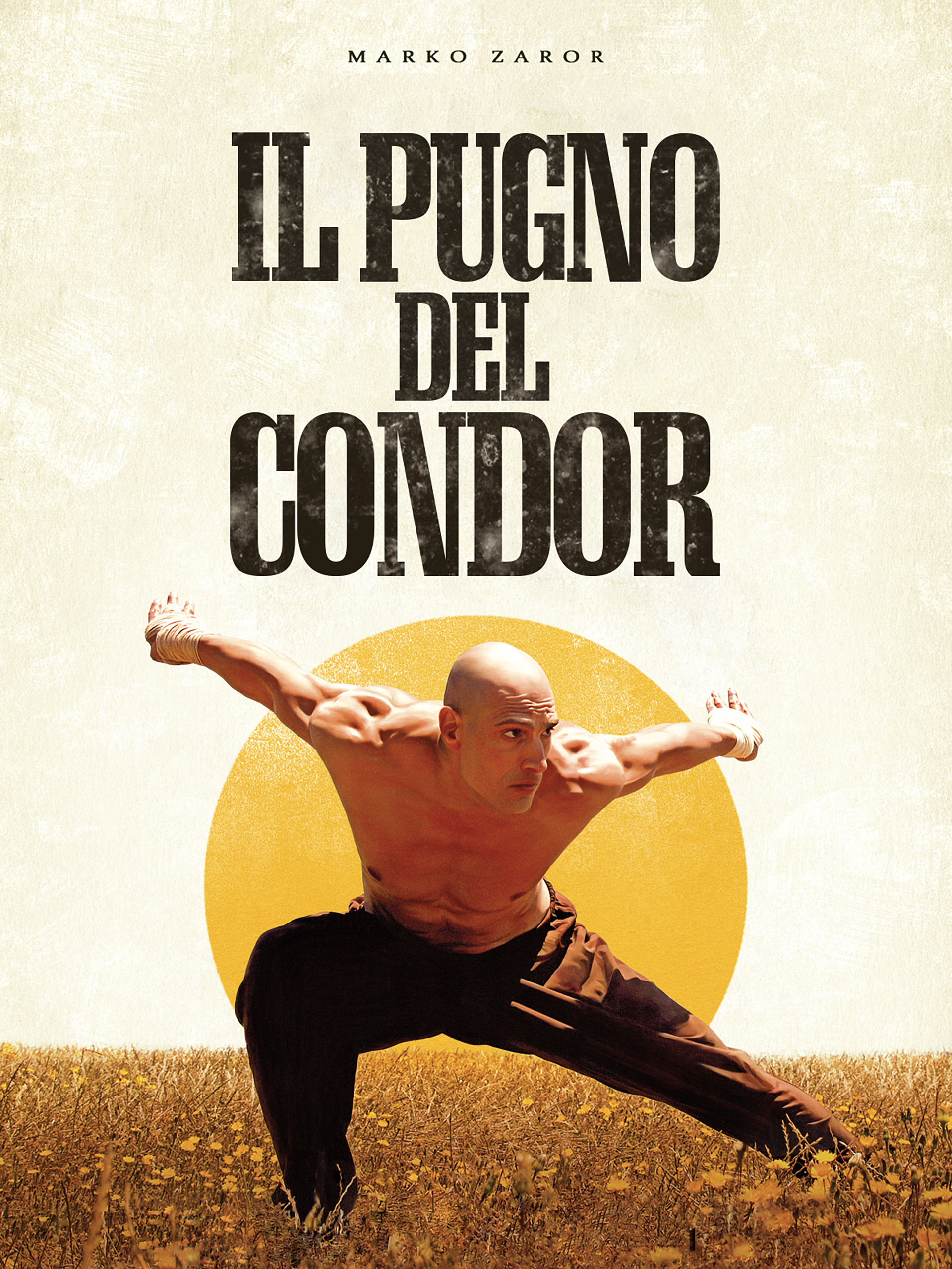 Prime Video Il Pugno Del Condor