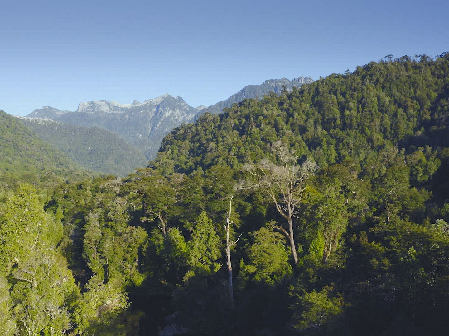 Prime Video Patagônia Extraordinária Season 1