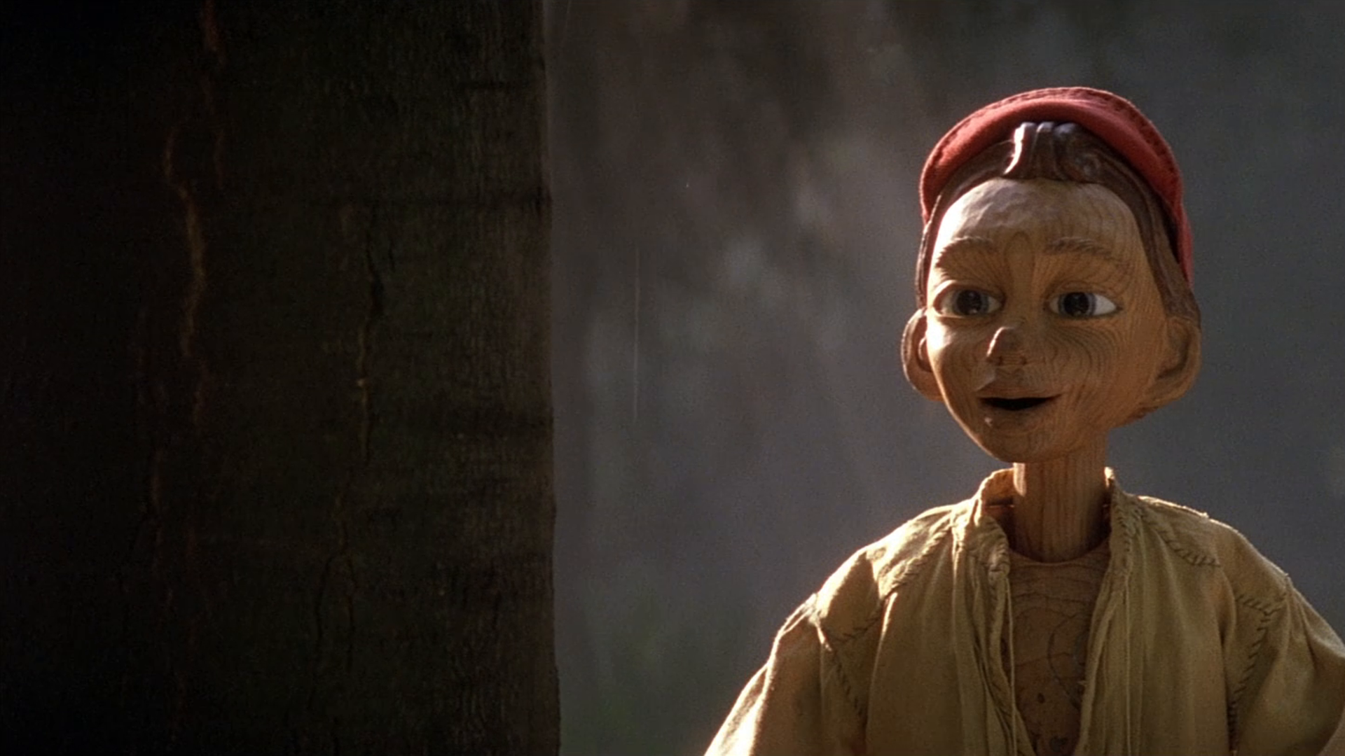 The Adventures Of Pinocchio Donkey