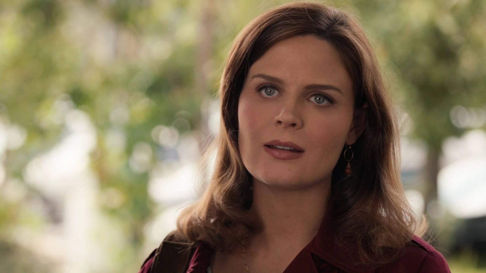 Prime Video: Bones - Season 7