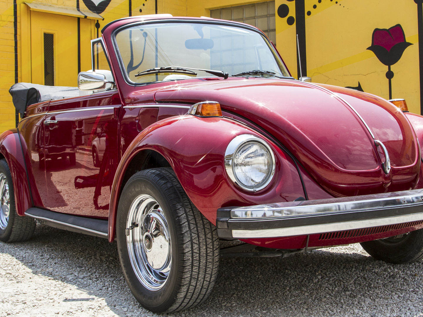 Prime Video: Dallas Car Sharks - Season 2