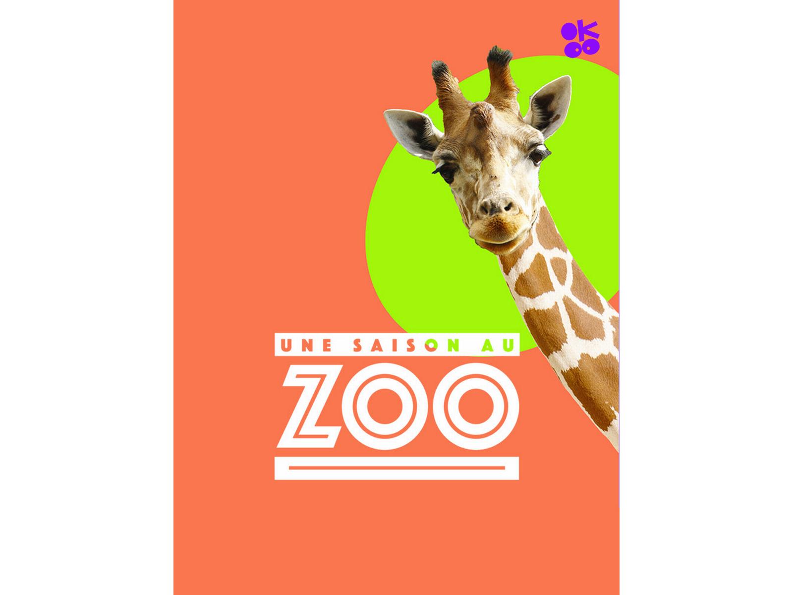 Prime Video: Une saison au zoo - Saison 14