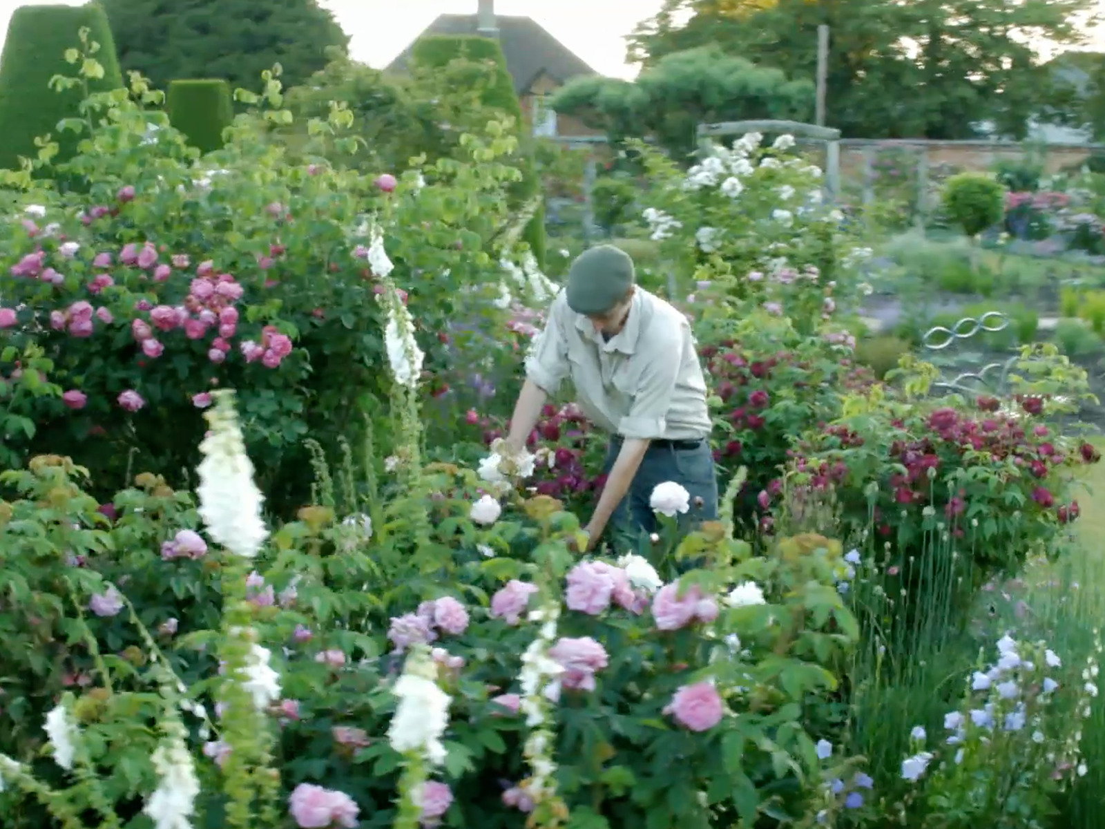 Prime Video Glorious Gardens from Above