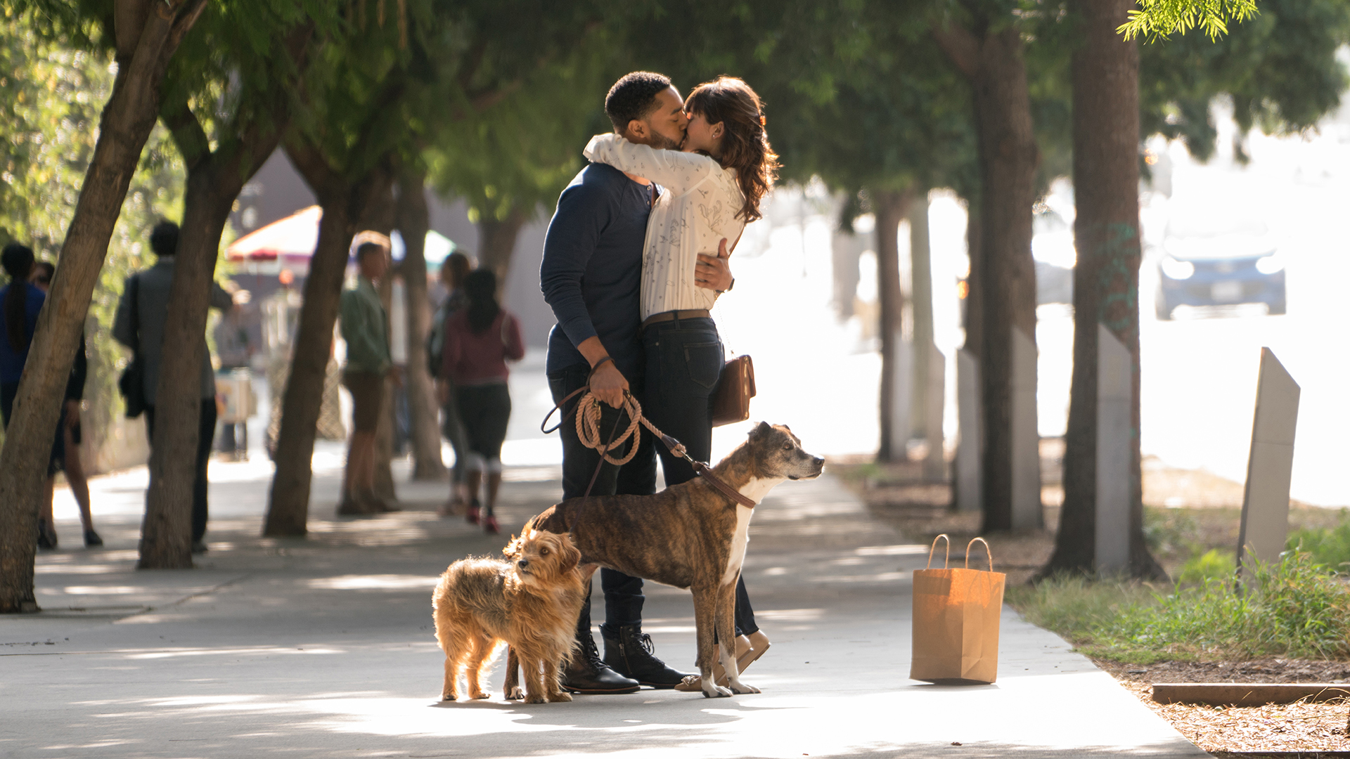 Amazon De Dog Days Ansehen Prime Video