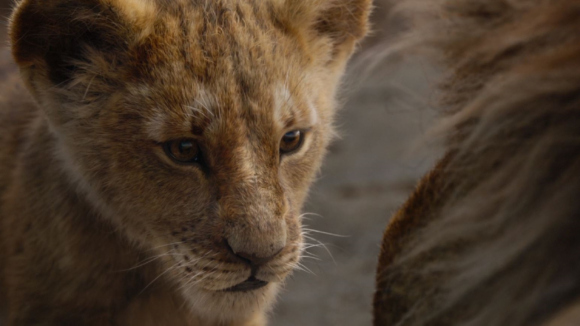 Amazon De Der Konig Der Lowen Dt Ov Ansehen Prime Video