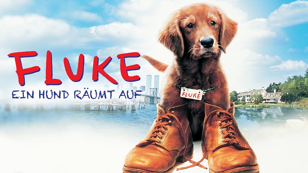Fluke Ein Hund Räumt Auf