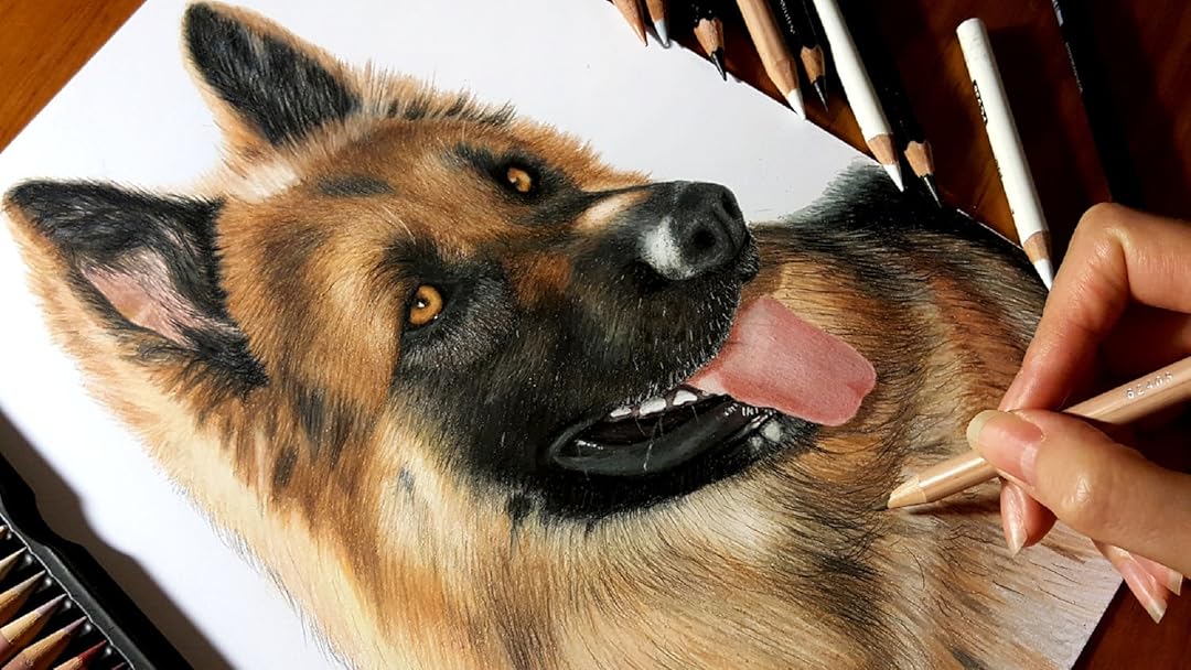Amazon De Clip Time Lapse Drawing Of A German Shepherd Dog Ov Ansehen Prime Video